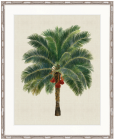 "Designer Boys Collections" Kebaya Palm II Artwork, Kebaya Palm Collection