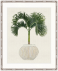 "Designer Boys Collections" Palm Beauty VI Artwork, Marsielle Palm Collection