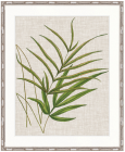 "Designer Boys Collections" Tropical Evergreen V Artwork, Elysium Tropical Collection