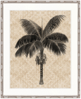 "Designer Boys Collections" Yasawa Palm III Artwork, Yasawa Palm Collection