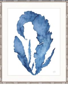 "Designer Boys Collections" Seaweed Illusion II Artwork, Cape Capricorn Collection