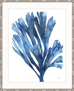 "Designer Boys Collections" Seaweed Illusion I Artwork, Cape Capricorn Collection