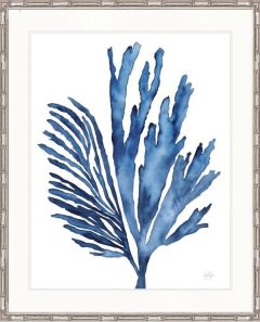 "Designer Boys Collections" Seaweed Illusion III Artwork, Cape Capricorn Collection