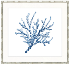 "Designer Boys Collections" Delicate Seaweed XVIII (Indigo) Artwork, Beaumaris Seaweed Collection