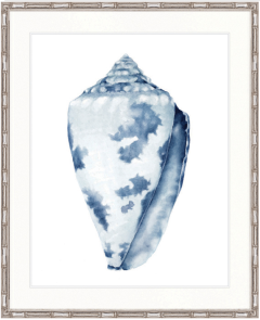 "Designer Boys Collections" Exquisite Shell I Indigo Blue Artwork, Careel Bay Shell Collection