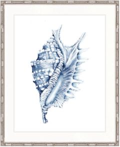 "Designer Boys Collections" Exquisite Shell IV Indigo Blue Artwork, Careel Bay Shell Collection