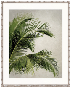 "Designer Boys Collections" Exotic Palm I Artwork, Palm Cove Collection