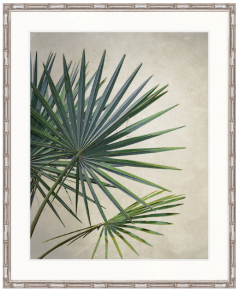 "Designer Boys Collections" Exotic Palm II Artwork, Palm Cove Collection