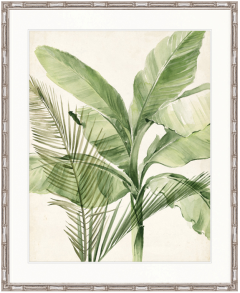 "Designer Boys Collections" Exquisite Palm I Artwork, Del Piero Palm Collection