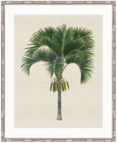 "Designer Boys Collections" Kebaya Palm I Artwork, Kebaya Palm Collection