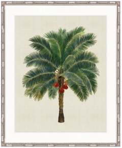 "Designer Boys Collections" Kebaya Palm II Artwork, Kebaya Palm Collection