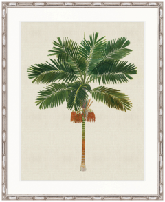 "Designer Boys Collections" Kebaya Palm III Artwork, Kebaya Palm Collection