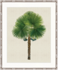 "Designer Boys Collections" Kebaya Palm IX Artwork, Kebaya Palm Collection