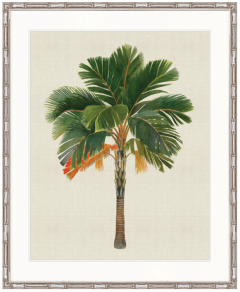 "Designer Boys Collections" Kebaya Palm VI Artwork, Kebaya Palm Collection