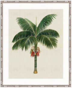 "Designer Boys Collections" Kebaya Palm VII Artwork, Kebaya Palm Collection