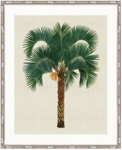 "Designer Boys Collections" Kebaya Palm VIII Artwork, Kebaya Palm Collection