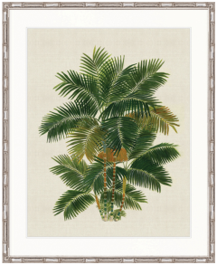 "Designer Boys Collections" Kebaya Palm X Artwork, Kebaya Palm Collection