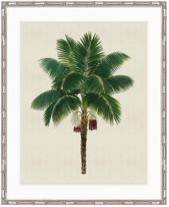 "Designer Boys Collections" Kebaya Palm XI Artwork, Kebaya Palm Collection