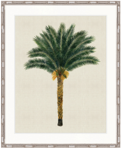 "Designer Boys Collections" Kebaya Palm XII Artwork, Kebaya Palm Collection