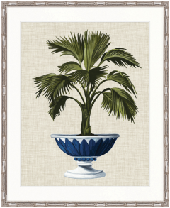 "Designer Boys Collections" Ornate Palm I Artwork, St James Palm Collection