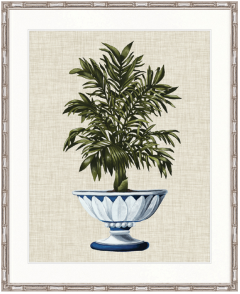 "Designer Boys Collections" Ornate Palm III Artwork, St James Palm Collection