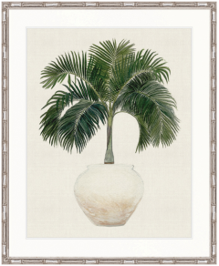 "Designer Boys Collections" Palm Beauty I Artwork, Marsielle Palm Collection