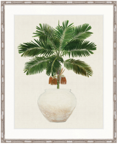 "Designer Boys Collections" Palm Beauty II Artwork, Marsielle Palm Collection