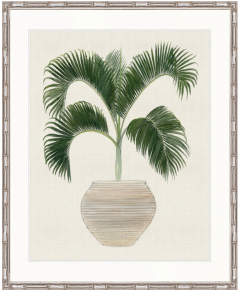 "Designer Boys Collections" Palm Beauty III Artwork, Marsielle Palm Collection