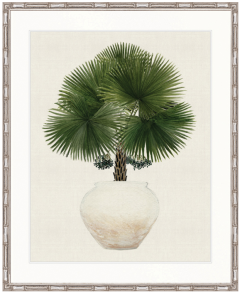 "Designer Boys Collections" Palm Beauty IV Artwork, Marsielle Palm Collection