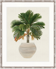 "Designer Boys Collections" Palm Beauty V Artwork, Marsielle Palm Collection