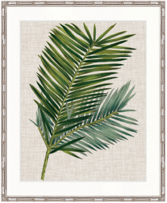 "Designer Boys Collections" Tropical Evergreen I Artwork, Elysium Tropical Collection