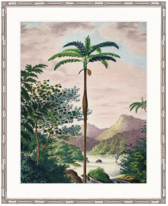 "Designer Boys Collections" Vintage Palm Study II Artwork, Kasimir Palm Collection