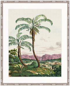"Designer Boys Collections" Vintage Palm Study V Artwork, Kasimir Palm Collection