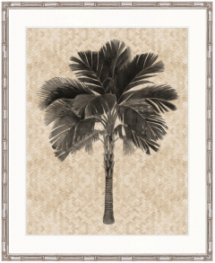 "Designer Boys Collections" Yasawa Palm I Artwork, Yasawa Palm Collection