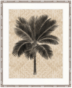"Designer Boys Collections" Yasawa Palm II Artwork, Yasawa Palm Collection