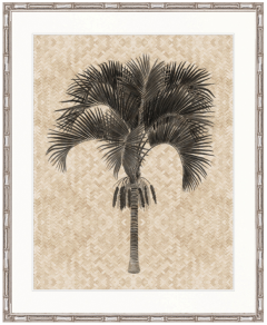 "Designer Boys Collections" Yasawa Palm IV Artwork, Yasawa Palm Collection