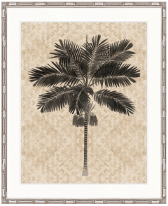"Designer Boys Collections" Yasawa Palm VI Artwork, Yasawa Palm Collection